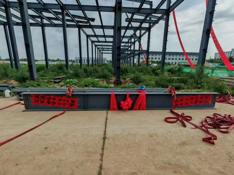 Yongcheng Xingye çelik yapısı şirketi Hebei Bosheng Gıda Atölyesi'nin Hızlandırılmış İnşaatı